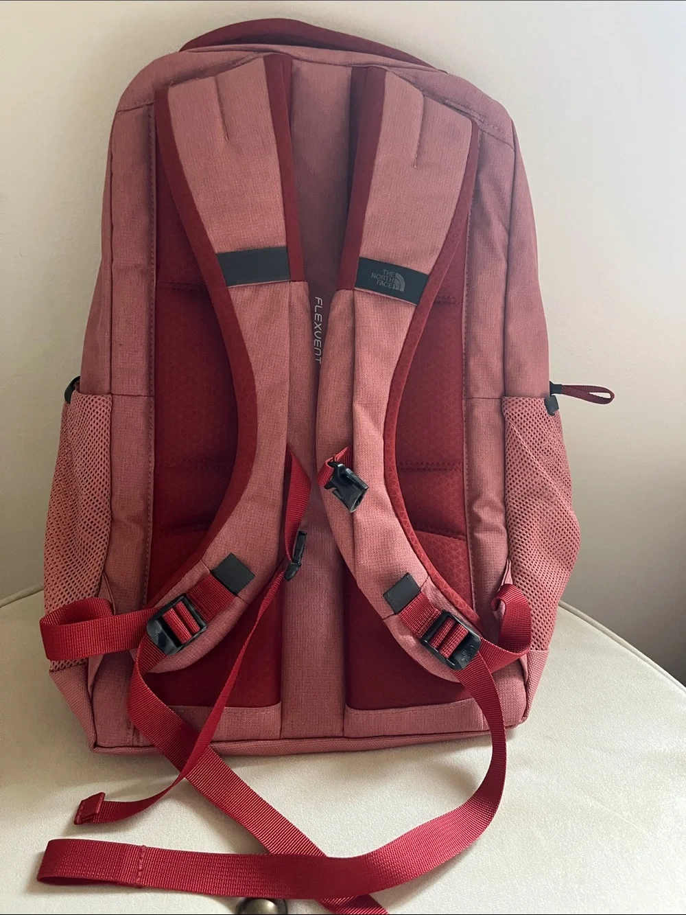 The North Face Vault Backpack - Dusty Rose with Red Accents